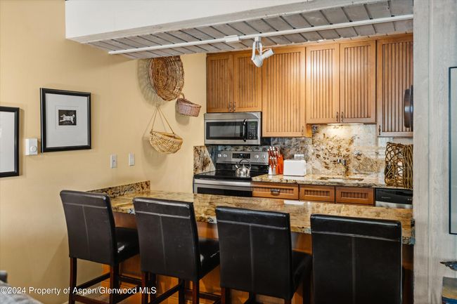 202 - 131 E Durant Ave, Condo with 2 bedrooms, 2 bathrooms and null parking in Aspen CO | Image 5