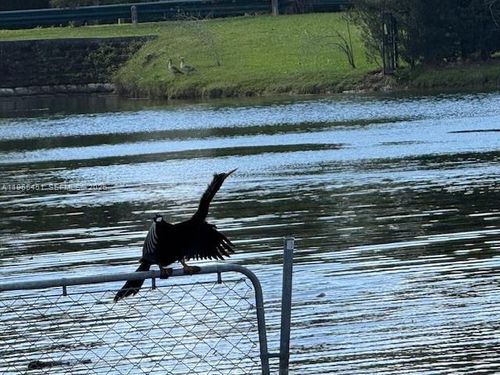 11820 Sw 69th Ct, Pinecrest, FL, 33156-4769 | Card Image