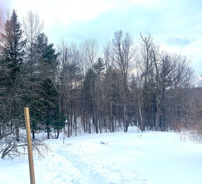 76 Edgerly School Rd, House other with 3 bedrooms, 1 bathrooms and null parking in Meredith NH | Image 23