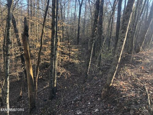 0 Yellowwood Drive, Sevierville, TN, 37876 | Card Image