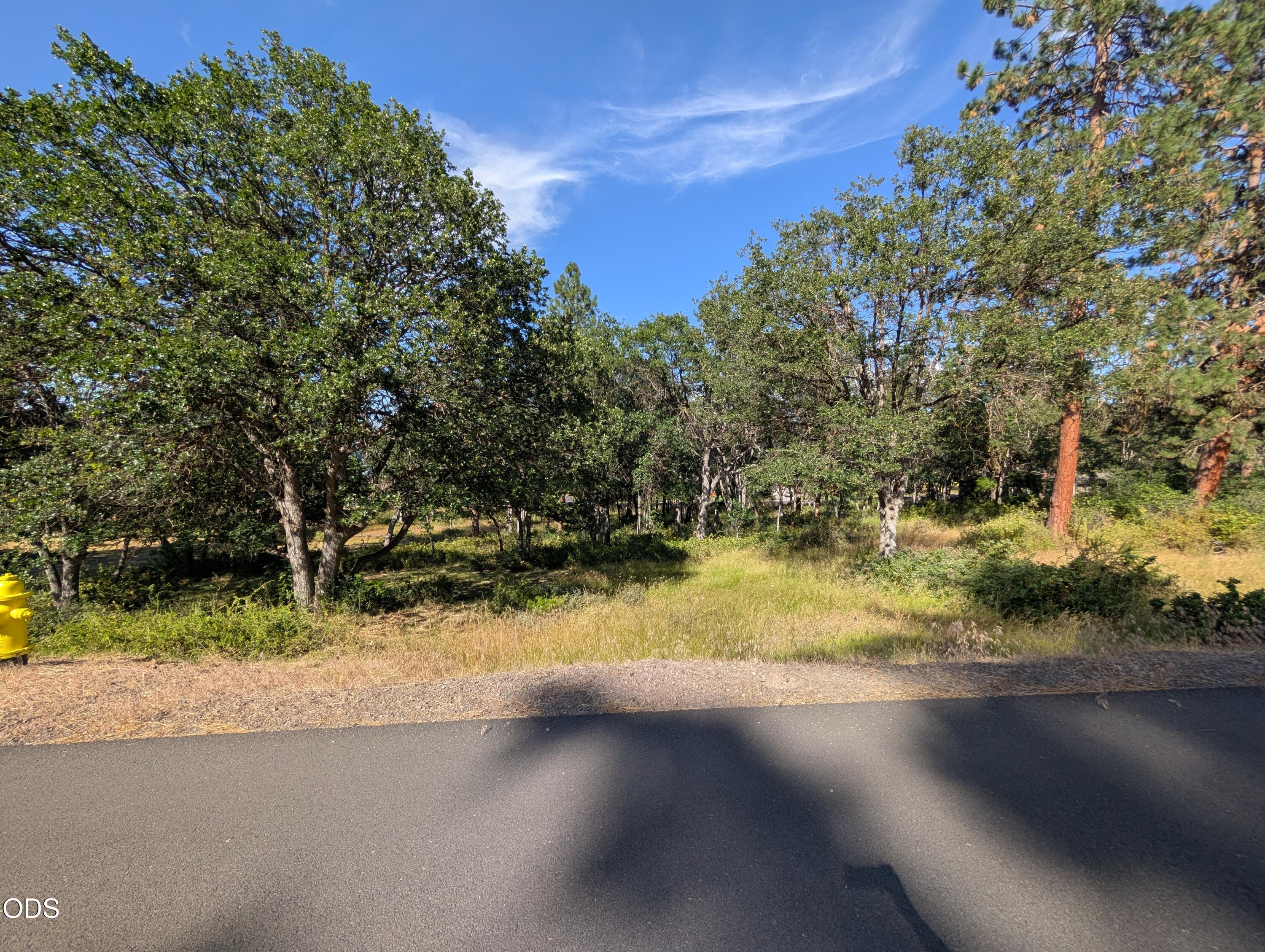 Land in Klamath Falls 3