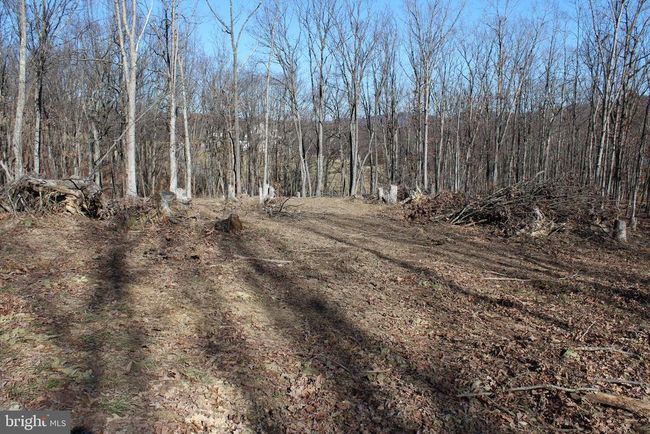 141 Hillcrest Dr, Home with 0 bedrooms, 0 bathrooms and null parking in New Creek WV | Image 22