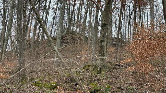 Lot 8 County Road 106, Home with 0 bedrooms, 0 bathrooms and null parking in LOGAN AL | Image 10