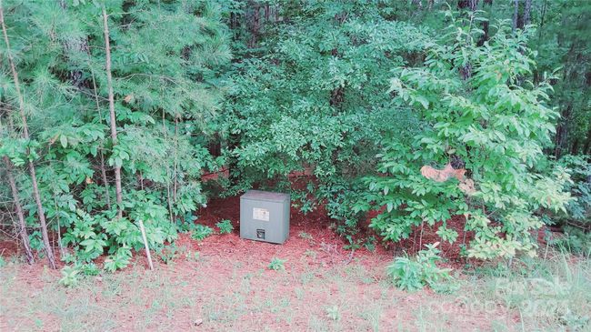 Left Boundary marker~~ | Image 22