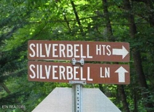 329 Silverbell Ln, Gatlinburg, TN, 37738-4715 | Card Image