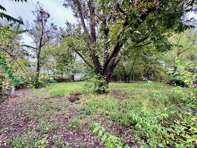 View of yard | Image 27