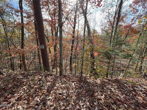 34 Sugar Mountain Way, Pigeon Forge, TN, 37863-4735 | Card Image