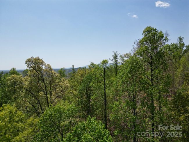 Lot 23 High Rock Rdg, Home with 0 bedrooms, 0 bathrooms and null parking in Lake Lure NC | Image 7