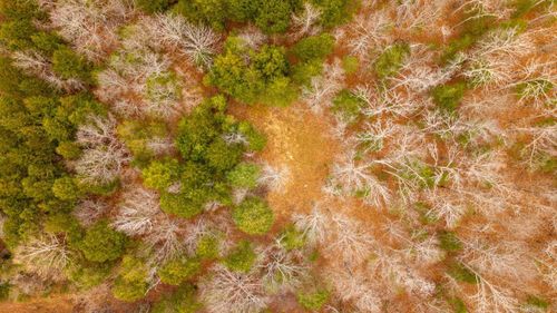 000 Walnut St, Thayer, MO, 65791 | Card Image