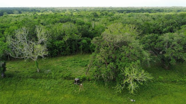 6707 Fm 1728, Home with 0 bedrooms, 0 bathrooms and null parking in Boling TX | Image 7