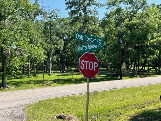 0 Squirrel Holw, Home with 0 bedrooms, 0 bathrooms and null parking in Damon TX | Image 11