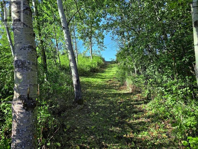 4256 Spur Rd, Home with 0 bedrooms, 0 bathrooms and null parking in Big Lake Ranch BC | Image 9