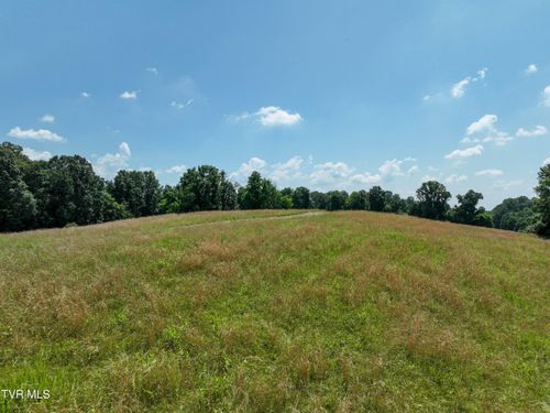 Lot 1 Devault Bridge Rd, Piney Flats, TN, 37686 | Card Image
