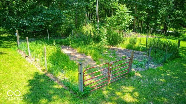 view of yard | Image 11