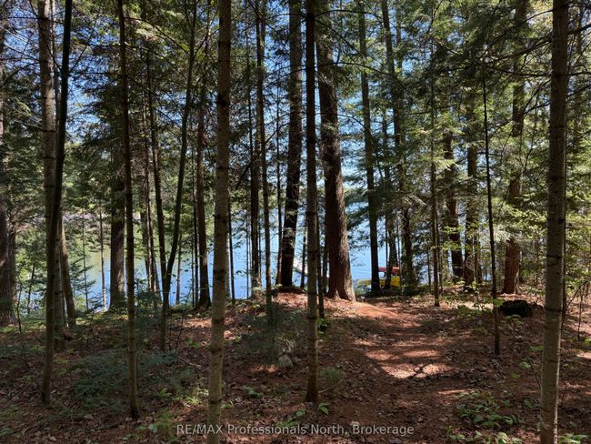 6547 Kennisis Lake Rd, House other with 3 bedrooms, 1 bathrooms and 3 parking in Haliburton ON | Image 38