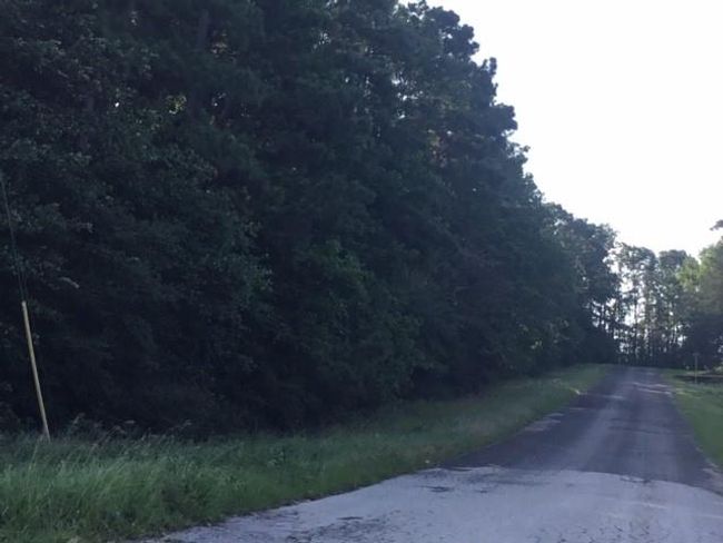 000 Navaho Trl, Home with 0 bedrooms, 0 bathrooms and null parking in Onalaska TX | Image 5