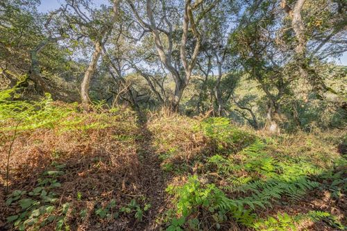 0 Veirra Canyon Rd, Salinas, CA, 93907 | Card Image