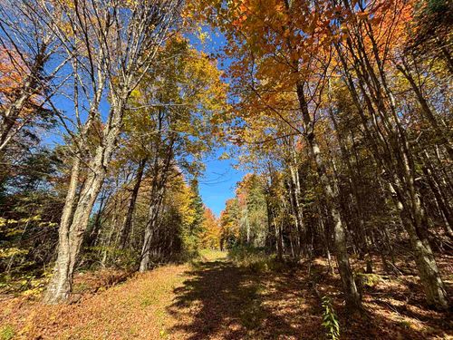 00 Baird Rd, West Burke, VT, 05871 | Card Image