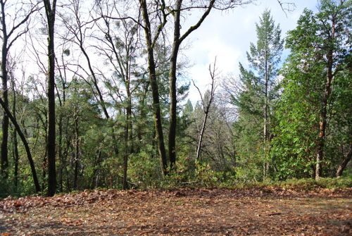 5588 Pine Ridge Rd, Foresthill, CA, 95631-9748 | Card Image