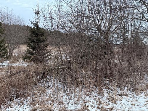 970 Mill Pond Road, Dousman, WI, 53118 | Card Image