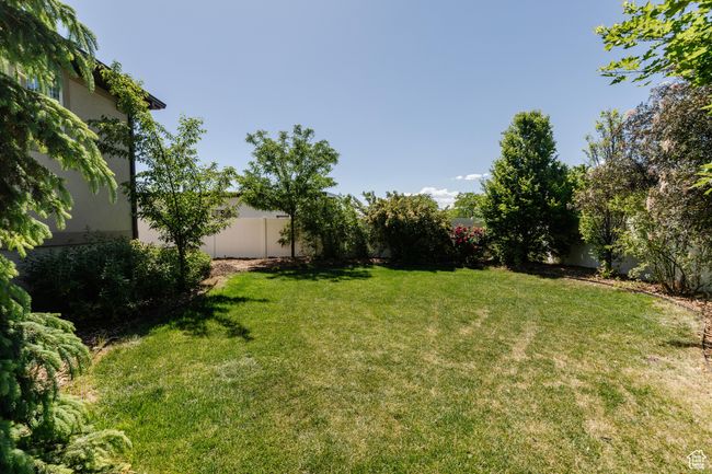 View of fenced backyard | Image 50