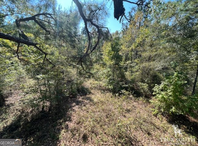 0 John S Horton Rd, Home with 0 bedrooms, 0 bathrooms and null parking in Adrian GA | Image 15