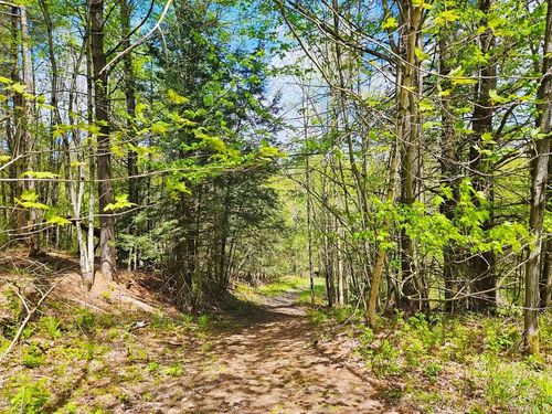 Lot 4 Berry Road, Berkshire, VT, 05450 | Card Image