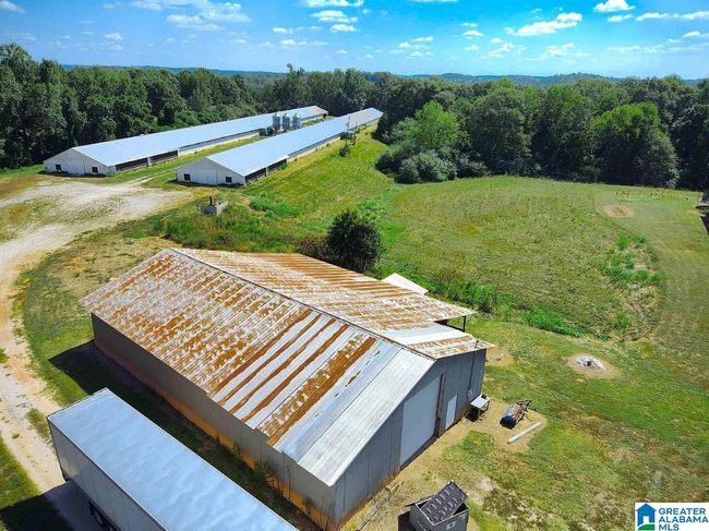 1690 Mount Moriah Rd, House other with 3 bedrooms, 2 bathrooms and null parking in Delta AL | Image 26