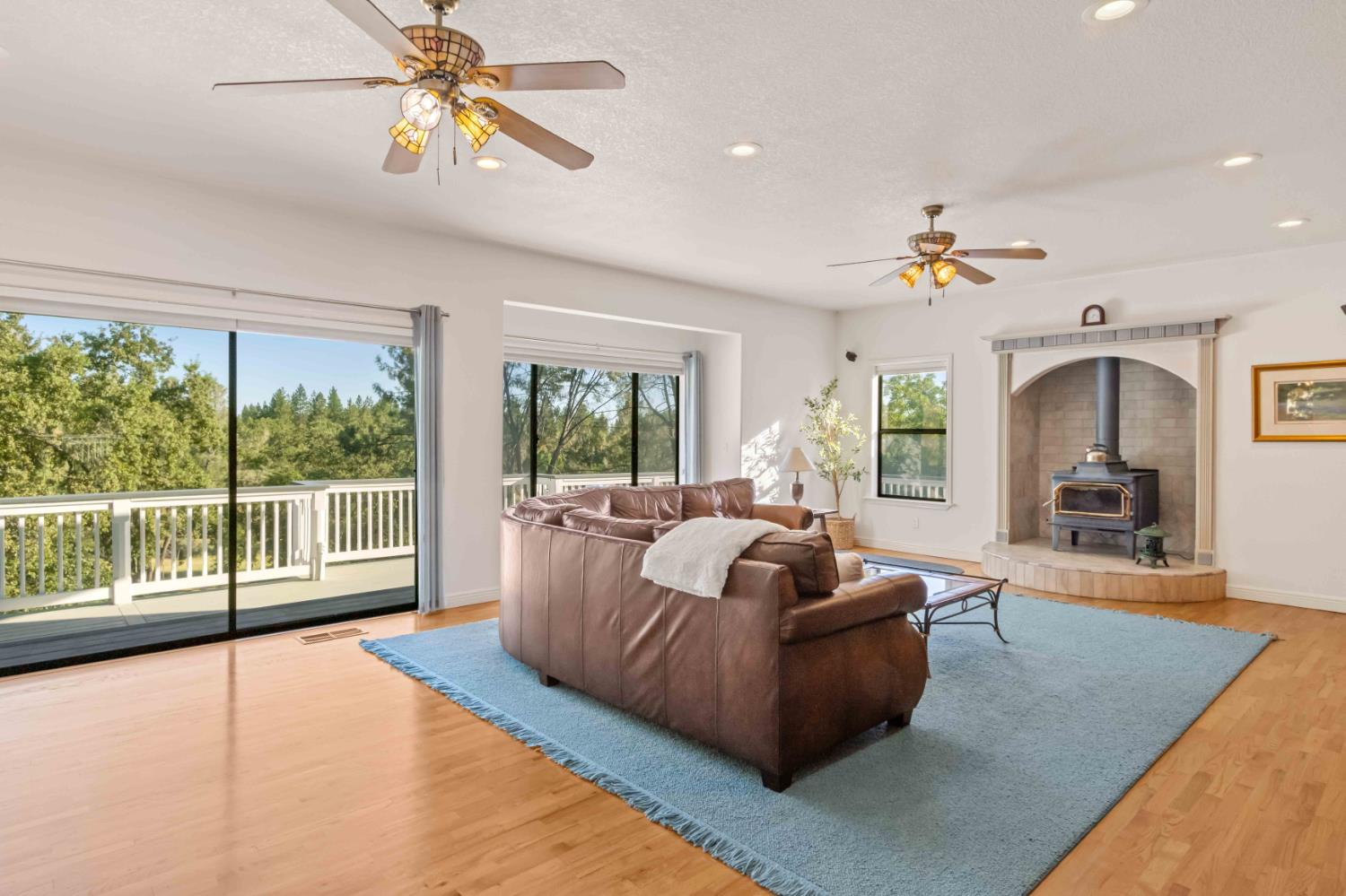 Residential in Placerville 3