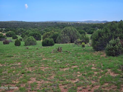 TBD Birdwing Ln, Clay Springs, AZ, 85923 | Card Image