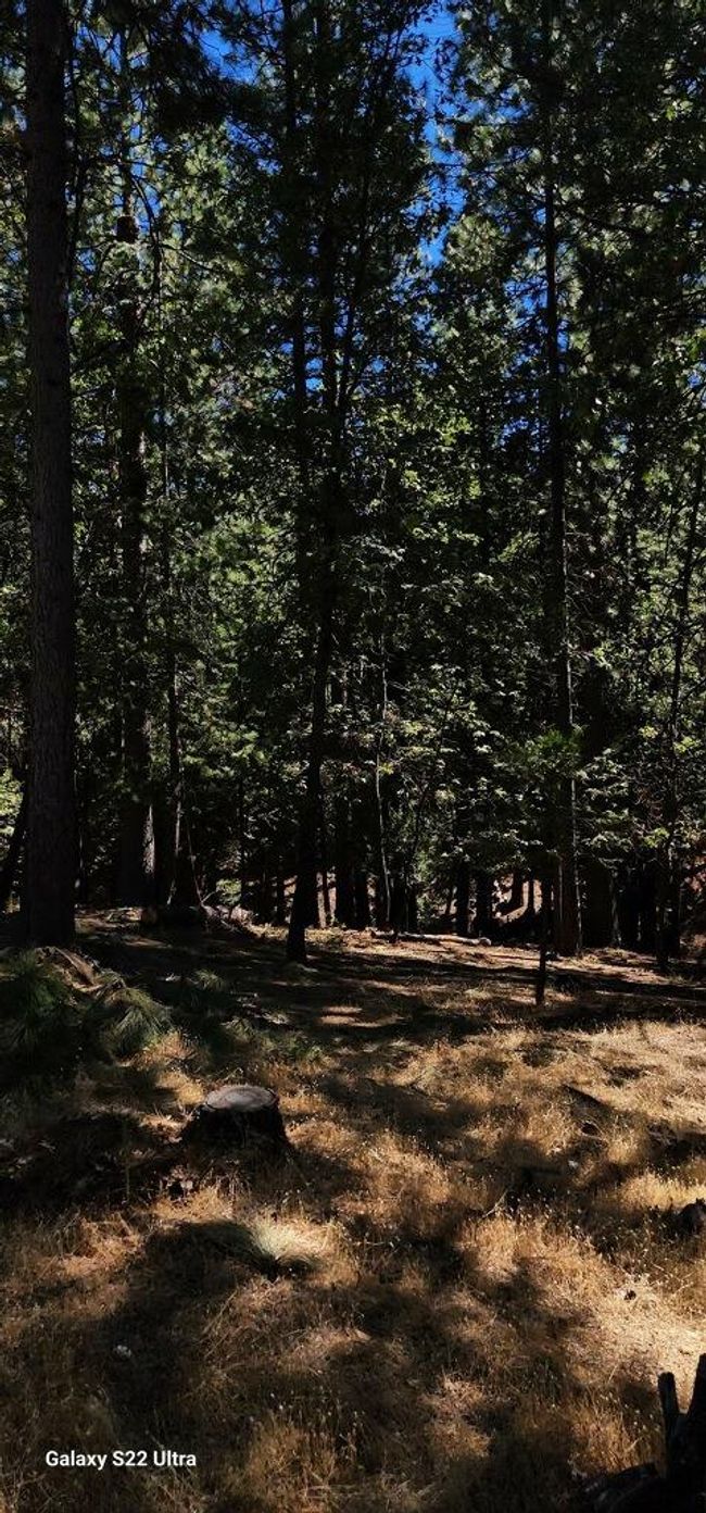 5701 Lupin Lane, Home with 0 bedrooms, 0 bathrooms and null parking in Pollock Pines CA | Image 17