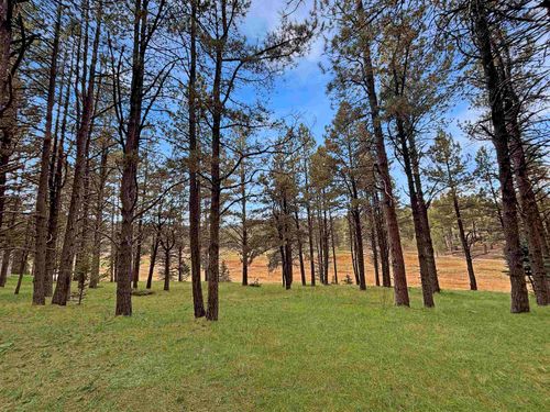 Lot 1133 Spyglass Hill Rd, Angel Fire, NM, 87710 | Card Image