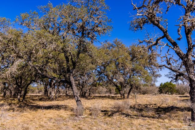 2400 Little Dry Frio Rd, Home with 0 bedrooms, 0 bathrooms and null parking in Rio Frio TX | Image 10