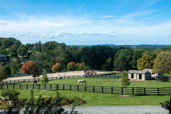 Paddocks &amp; Run In Shed | Image 11