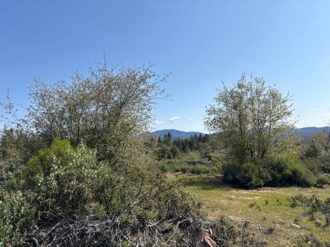 19292 Shawnee Trl, Home with 0 bedrooms, 0 bathrooms and null parking in Mokelumne Hill CA | Image 56