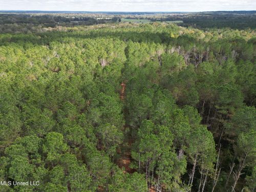 503 Highway 13 S, Mendenhall, MS, 39114-4642 | Card Image