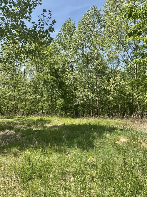 98 Saddleback Drive, Dover, TN, 37058 | Card Image
