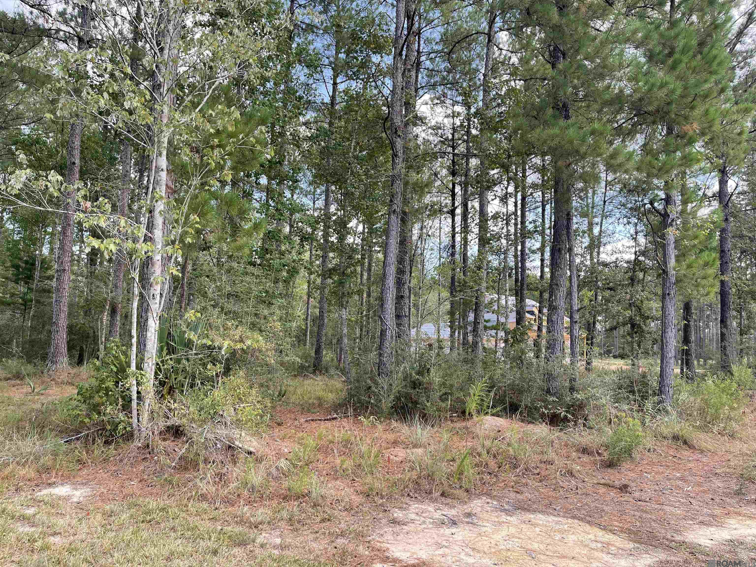Land in Livingston 3