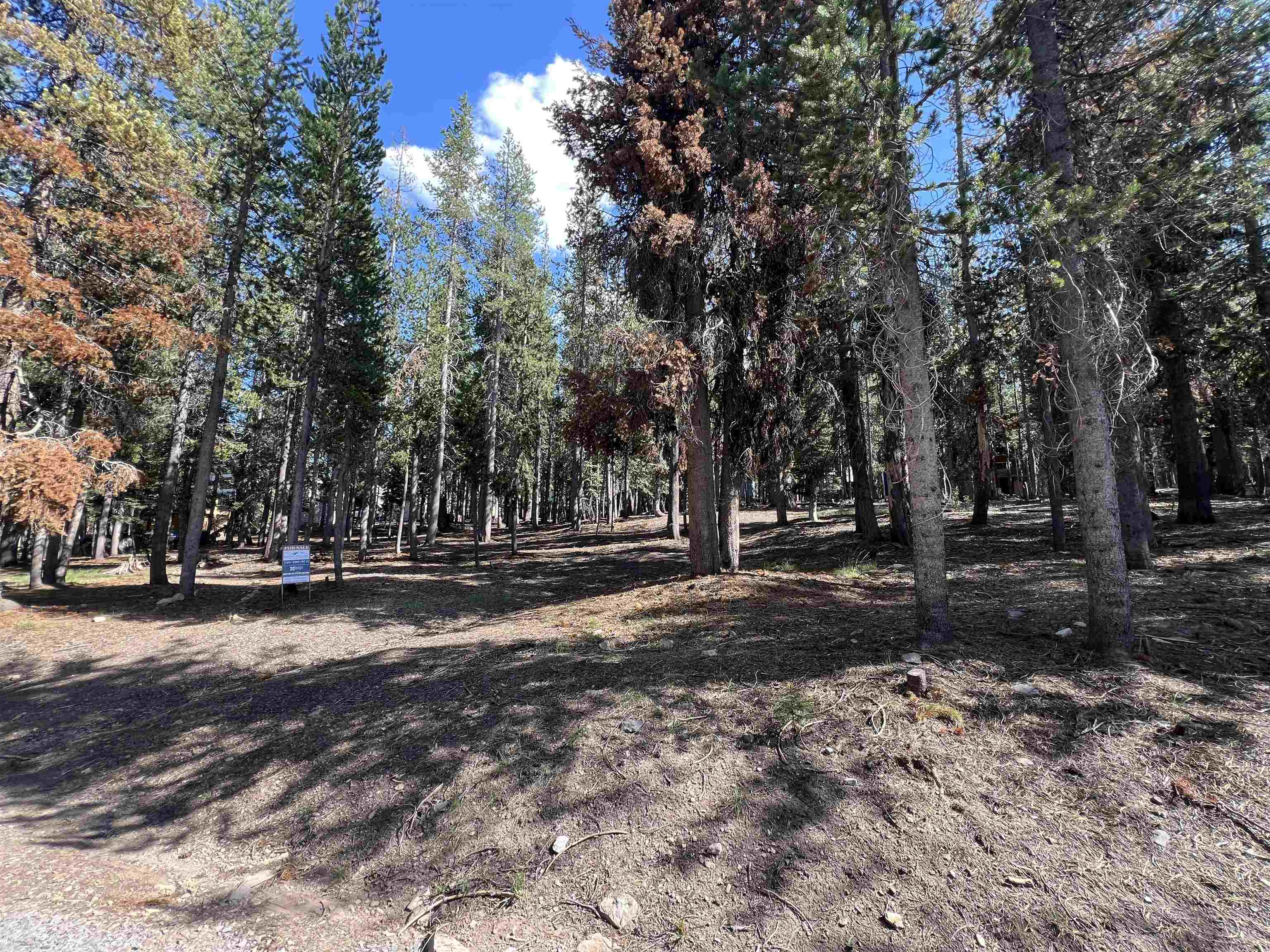 Land in McCloud 3
