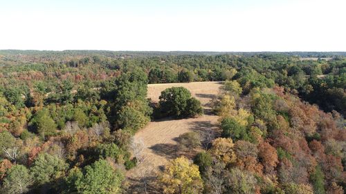 615 Thomas Hollow Rd, Rocky Comfort, MO, 64861 | Card Image