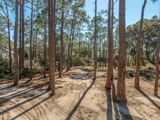 160 Harbor Cir, Home with 0 bedrooms, 0 bathrooms and null parking in ALLIGATOR POINT FL | Image 24