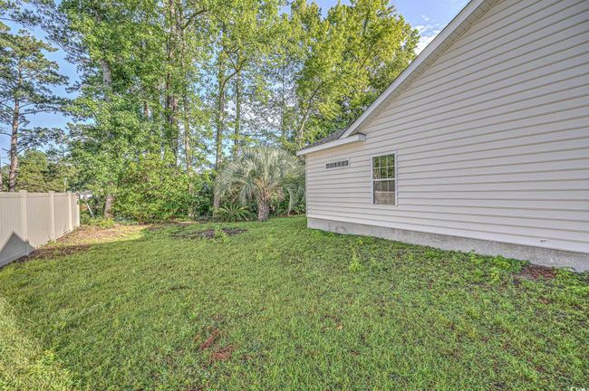 View of yard | Image 7