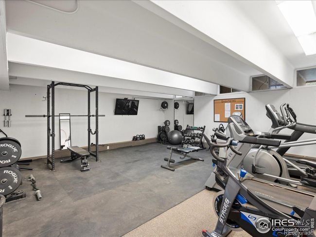 Gym | Image 28
