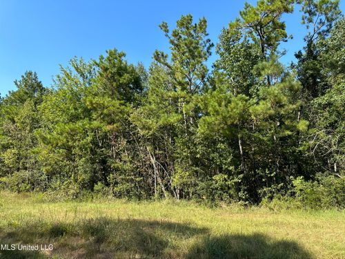 92.4 Acres Crossroads Merrill Rd., Lucedale, MS, 39452 | Card Image