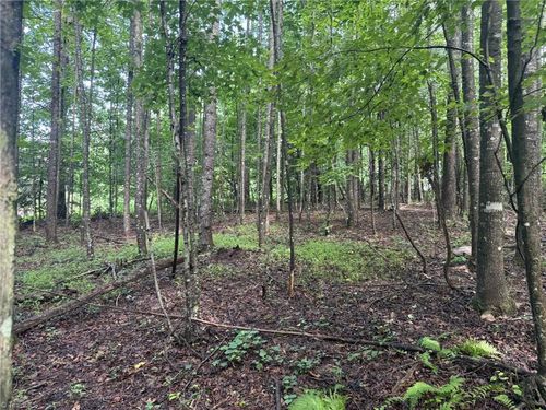 22 Austin Traphill Road, Traphill, NC, 28685 | Card Image