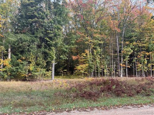 207 Wallace Rd Ne, Alden, MI, 49612 | Card Image