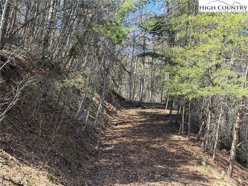TBD Lot 30 Shawnee Trail, Jefferson, NC, 28640 | Card Image