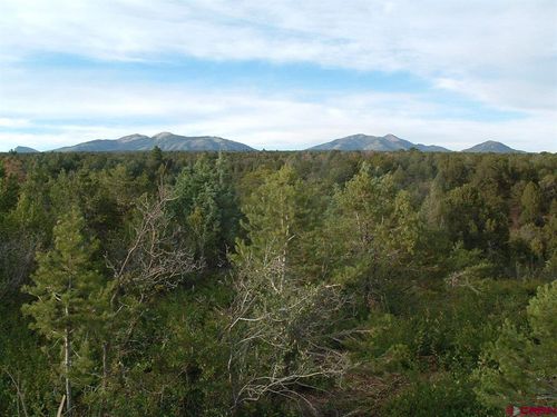 TBD De Oro Way, Hesperus, CO, 81326 | Card Image