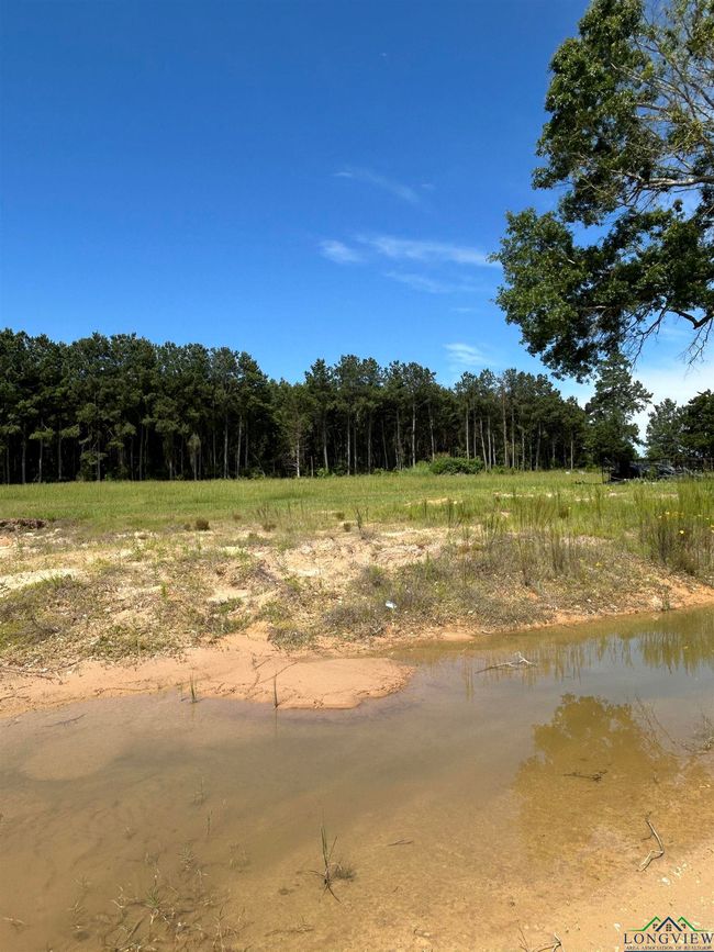 5302 Ne Loop, Home with 0 bedrooms, 0 bathrooms and null parking in Carthage TX | Image 13