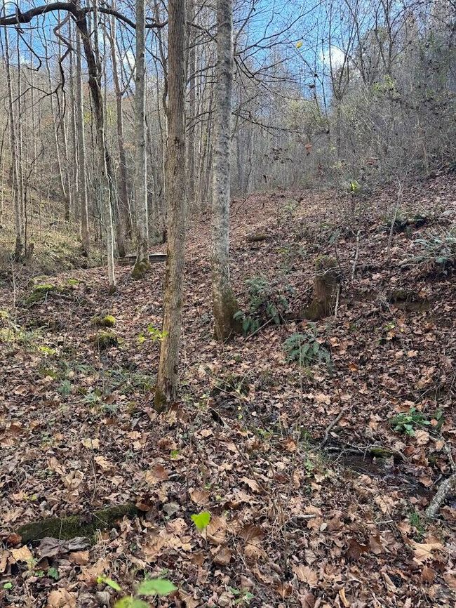 286 Willie Rd, House other with 2 bedrooms, 1 bathrooms and null parking in Thorn Hill TN | Image 10